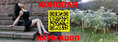 бошки Будённовск