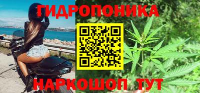 бошки Будённовск