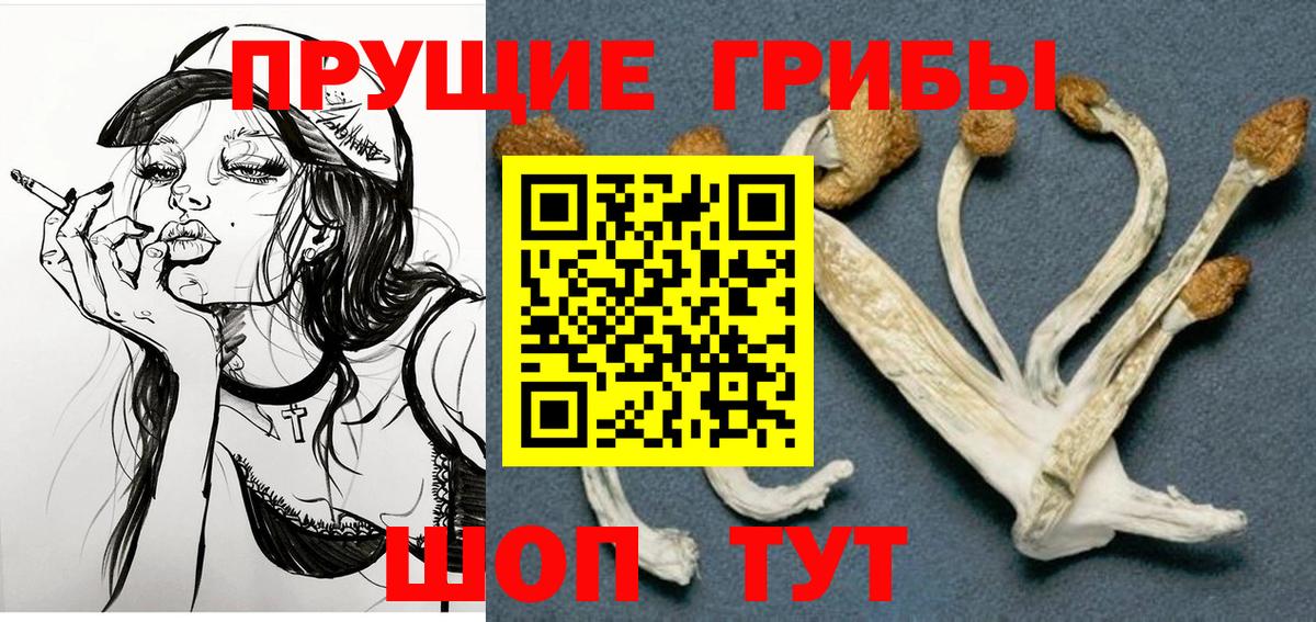 Лабытнанги  Псилоцибиновые грибы Psilocybine cubensis  Вход с VPN 